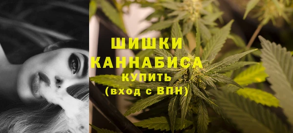 меф Горняк