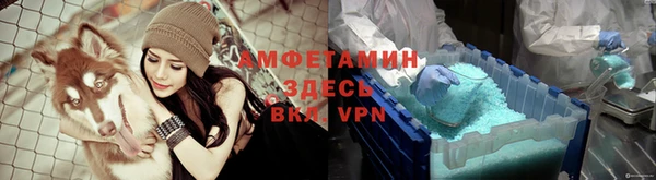 мяу мяу мука Горно-Алтайск