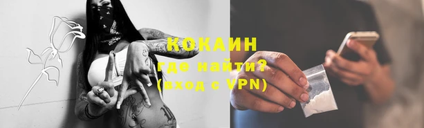 бошки Вязьма