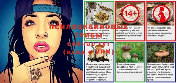 мяу мяу мука Горно-Алтайск