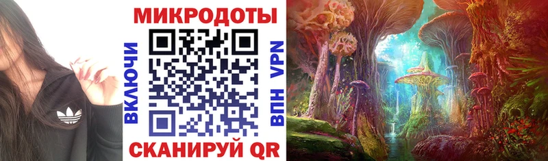 Псилоцибиновые грибы прущие грибы  как найти закладки  Змеиногорск 